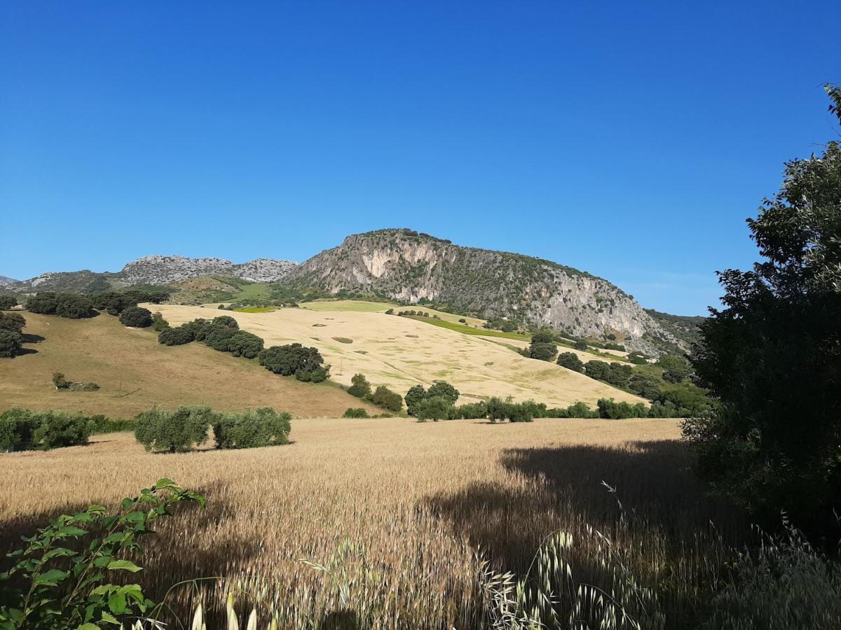 Huerta La Laja,Casa Grande Vendégház Ronda Kültér fotó