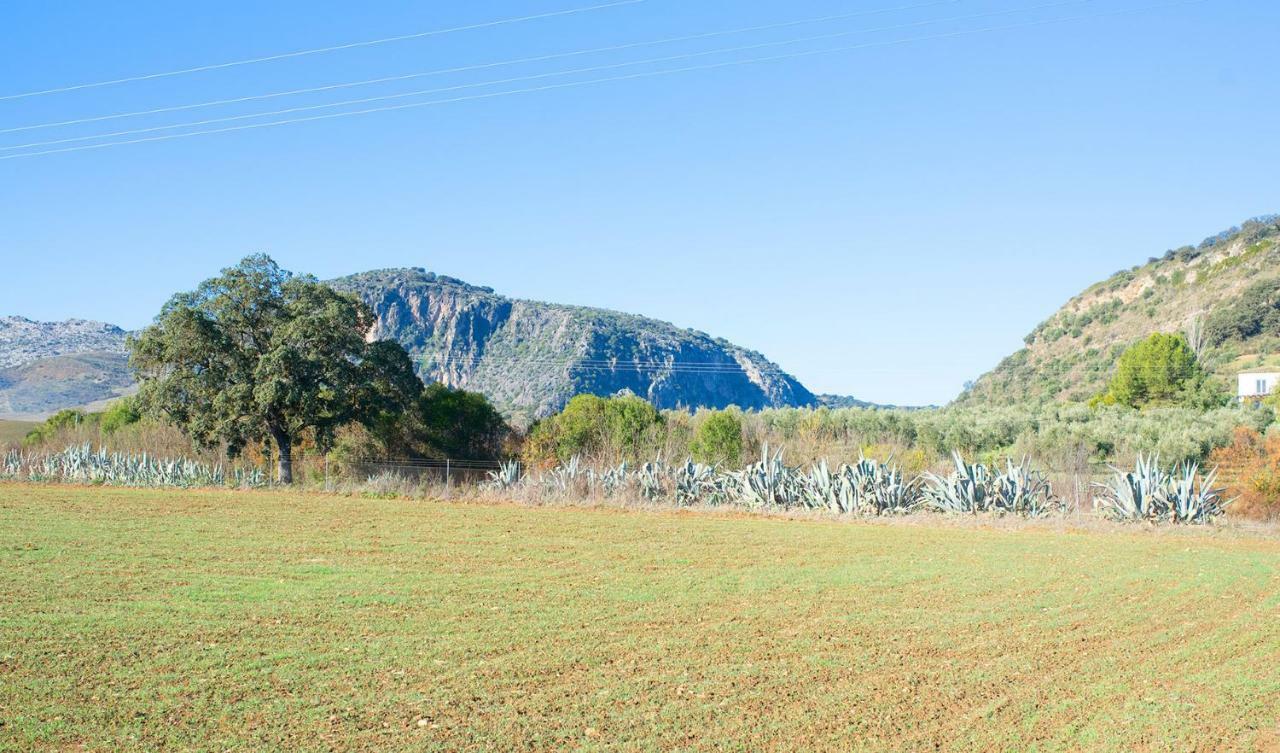 Huerta La Laja,Casa Grande Vendégház Ronda Kültér fotó